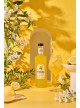 CITRONELLI - Corsican Lemon Liqueur