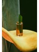 KOTA Pandan Liqueur - Nico de Soto